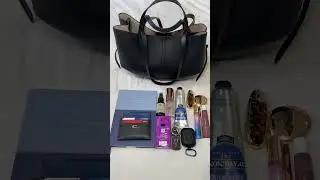 What Fits in my Pol&egrave;ne Mini Cyme with a Handbag Organizer? #Polene
