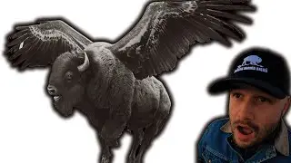 How Can Birds Help Save Buffalo?