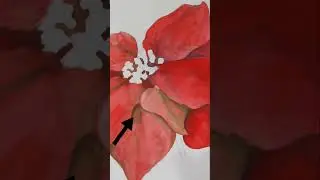 Эксперимент по теории цвета #акварель #теорияцвета