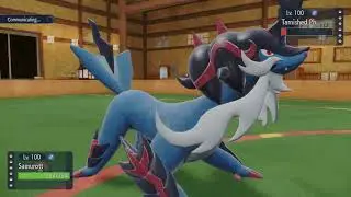 Dragonite Division Quarter Finals Vs Flying Flutter Mane