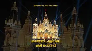 മാനന്തവാടി പള്ളിയിലെ ഒരു പള്ളി പെരുന്നാൾ കാണാം | Mananthavadi Palliperunal #mallu #kerala