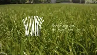 KUNSTGRASCENTRUM by THE JOLLY ARK - Royal Grass&reg; Ready&reg; technologie