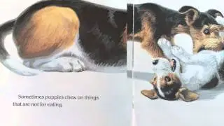 The Puppy Book (read aloud)
