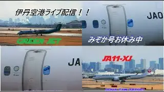 生中継！伊丹空港!!  Plane Spotting Itami Airport 01/29/2026