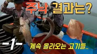 진도에서 주낙 치고 왔습니다.. 과연 어떤 고기들이 얼마나 잡혔을까요?