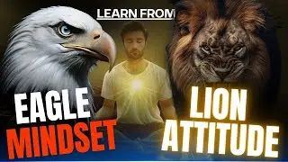 Dedication, Mindset, Attitude | Learn From Animal's Behaviours | Motivational Video Hindi/Urdu