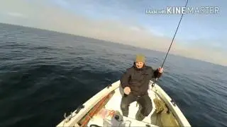 Angeln auf Dorsch vom Kleinboot