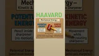 #scienceexperiment #Science#Haavard International School