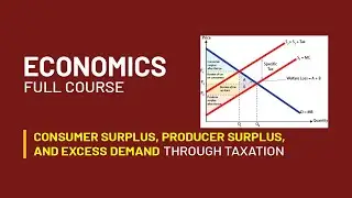 Consumer Surplus, Producer Surplus, and Excess Demand with Tax | Economics Explained
