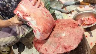 Amazing Pangas Fish Cutting Skills Live In Fish Market