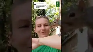 How we met 🐿️ My Squirrel Friend Miss Bonnie