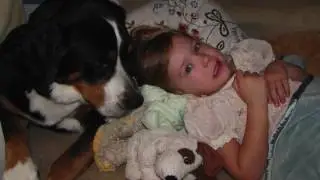 Heidi 2005 - 2017