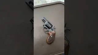 Taurus 605 Chambered In 357 Mag 🫠