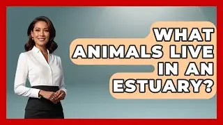 What Animals Live In An Estuary? - The Marine Life Explorer