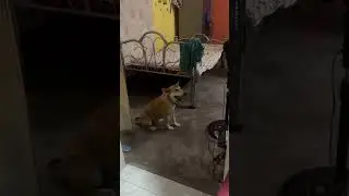 Ulululu 😂😂😂