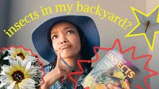 Catching Insects in my Backyard! | Nature Exploration and Insect Identification