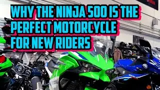 Why the Ninja 500 is the BEST starter bike