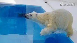 熊本市動植物園の動物たち~Animals in  Kumamoto city zoological and botanical gardens
