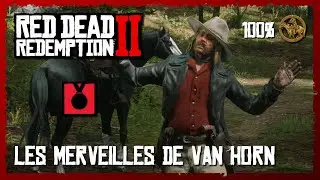 RDR 2 - Les merveilles de Van Horn