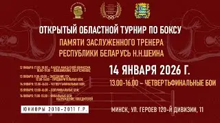 Открытый областной турнир по боксу памяти Н.Н.Шеина (четвертьфинальные бои) - 2026