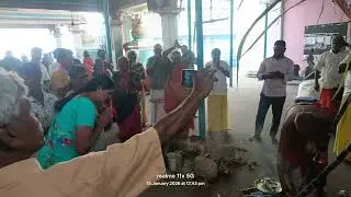 பொங்கல் 2026