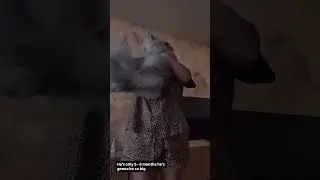 Malu Trevejo 6 monts 🙊