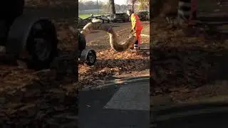Magical hoover 😂#street #cleaning #vacuum #christmas preps