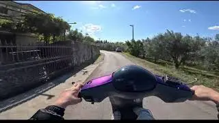 PIAGGIO ZIP CRASH