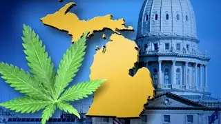 Michigan recreational marijuana sales reach $3.1 million after 2 weeks