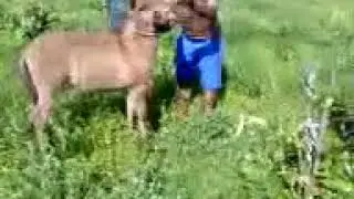 e burro mesmo 😁😁