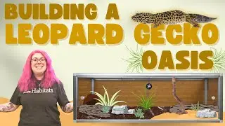 Creating A DESERT OASIS For Our Leopard Gecko | Zen Habitats Leopard Gecko Enclosure Build