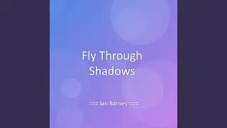 Fly Through Shadows