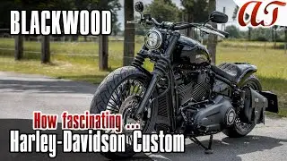 2022 Harley-Davidson STREET BOB 114 Custom: BLACKWOOD * A&T Design
