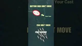 Getting Skunked River Fishing? Catch More Flathead, Blue & Channel Cats: FATKAT Best Catfish Rigs
