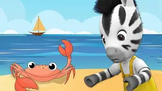 What The Crab | Zebra Cartoon For Kids | ZOU