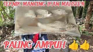 TEKNIK MANCING IKAN MAHSEER PALING AMPUH // PELAMPUNG DAN UMPAN LUMUT👍‼️