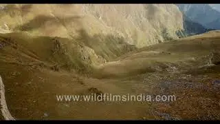 Roopkund trek: Ali and Bedni buggyals or alpine meadows of Garhwal, above tree line, en route Nanda