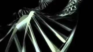 D.K.P. =DPRT=