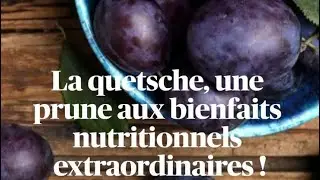 Quels sont les bienfaits de la Quetsche ?