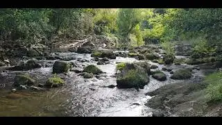 The nature sounds river flows in you will be a welcome break from routine. River flows nature sounds
