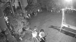 Bố đi làm về