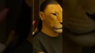 #catvideos #funnyvideo #lionandcat
