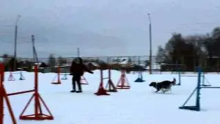Тигр_Тренеровка 03.03.12