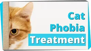 Exposure Treatment for Fear of Cats (Ailurophobia)