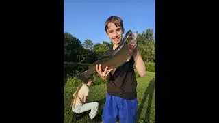 &lrm;#shorts #rainbowtrout #flyfishinglife #flyfishing #flyfisherman #trout #troutfishing #nymphs