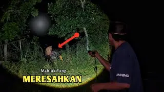  MERESAHKAN 