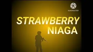 (FANMADE) Tampilan OBB Strawberry Niaga RTV (2013&ndash;2014)