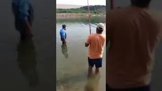 good fishing common carp in hot weather