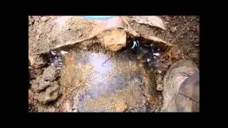NATURAL GAS LEAK REPAIR USING INJECT2SEAL