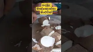 Manioc Curry | මඤ්ඤොක්කා ව්&zwj;යංජනය | Cassava | Manyokka Curry Sri Lankan recipe #shortvideo #manioc